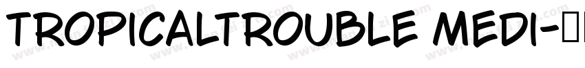 TropicalTrouble Medi字体转换